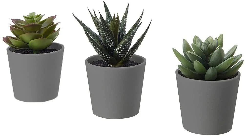 Artificial Potted Plant Set of 3 Succulent Plant (Grey) Artificial Plant with Pot-image-5