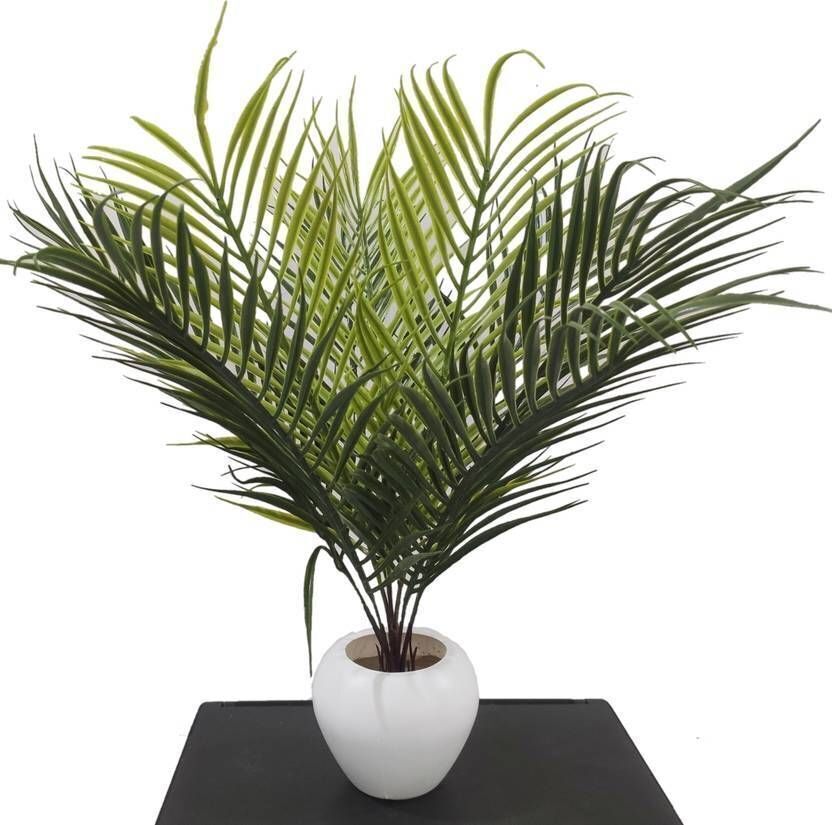 shanol Artificial Palm Plant in Apple Shape Pot Artificial Plant with Pot-picture-12