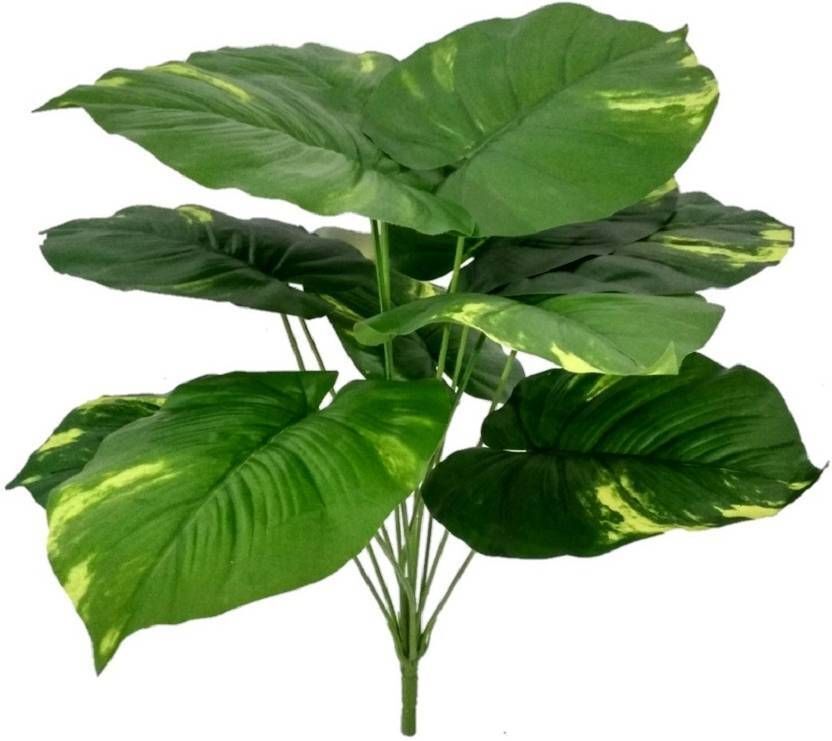 Artificial Broad Leaf Decorative Plant Bunch Artificial Plant with Pot-image-1