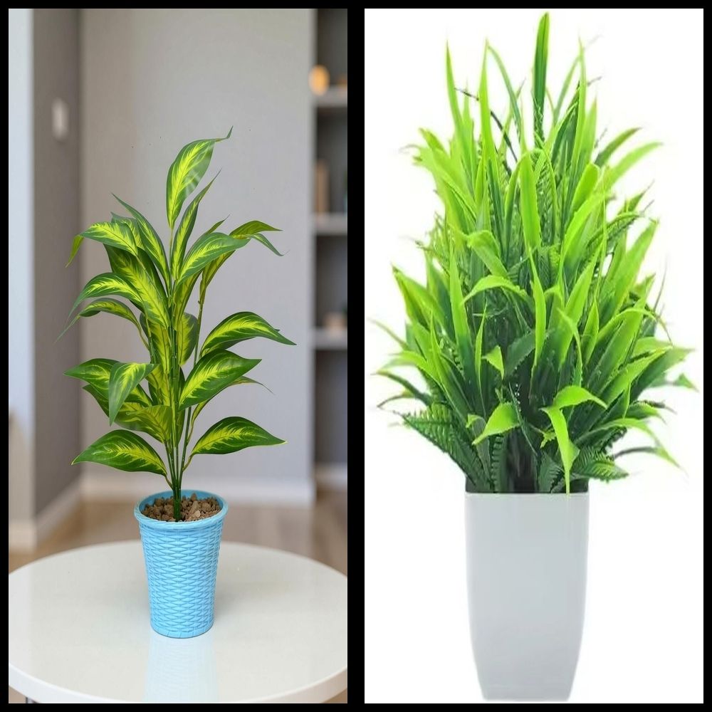 nexat Artificial Plant with Pot for Decoration of LivingRoom, Showcase or Office Table Bonsai Wild Artificial Plant with Pot-picture-32