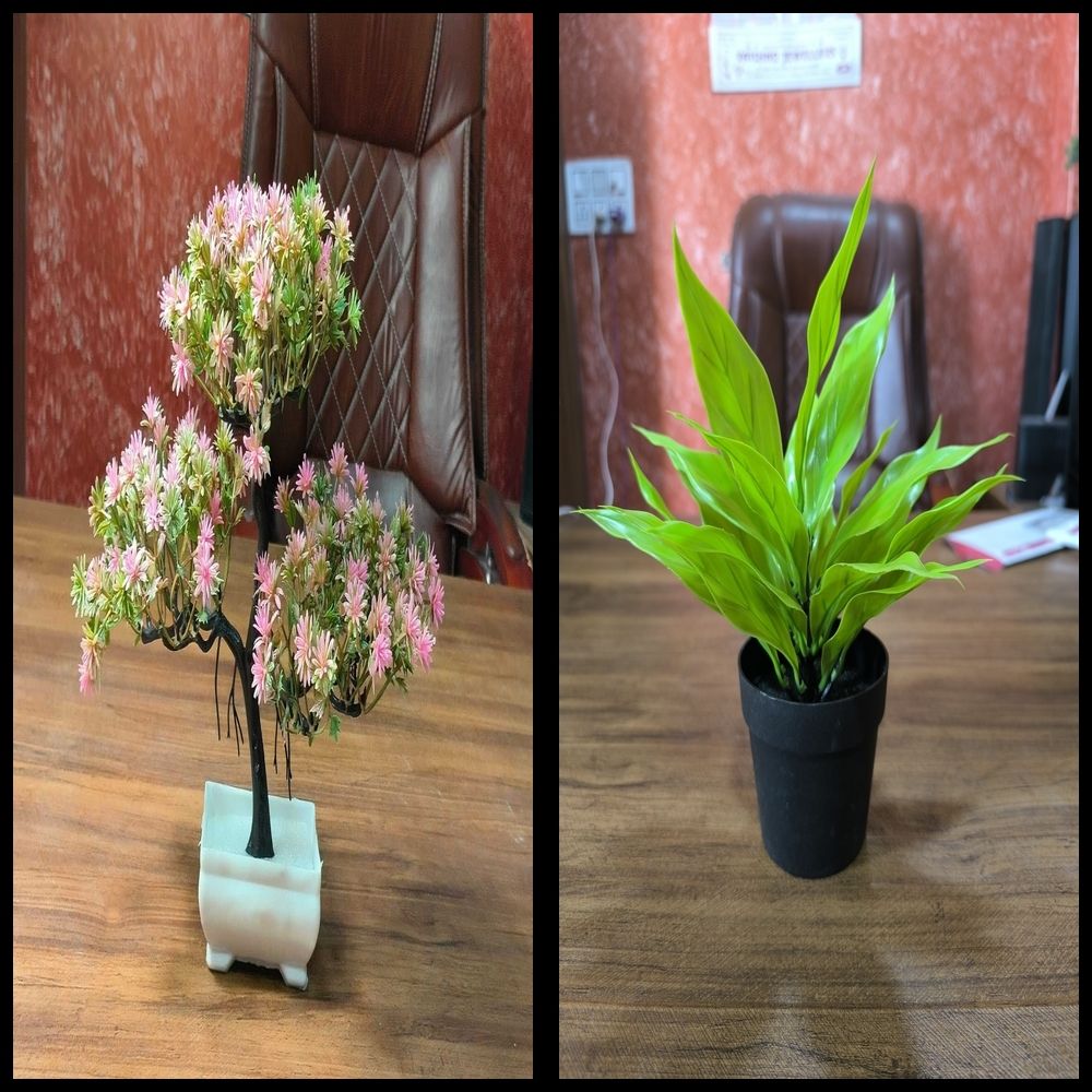 nexat Artificial Plant with Pot for Decoration of LivingRoom, Showcase or Office Table Bonsai Wild Artificial Plant with Pot-picture-10