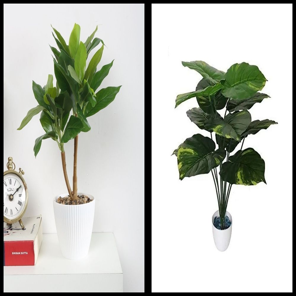 nexat Artificial Plant with Pot for Decoration of LivingRoom, Showcase or Office Table Bonsai Wild Artificial Plant with Pot-picture-13