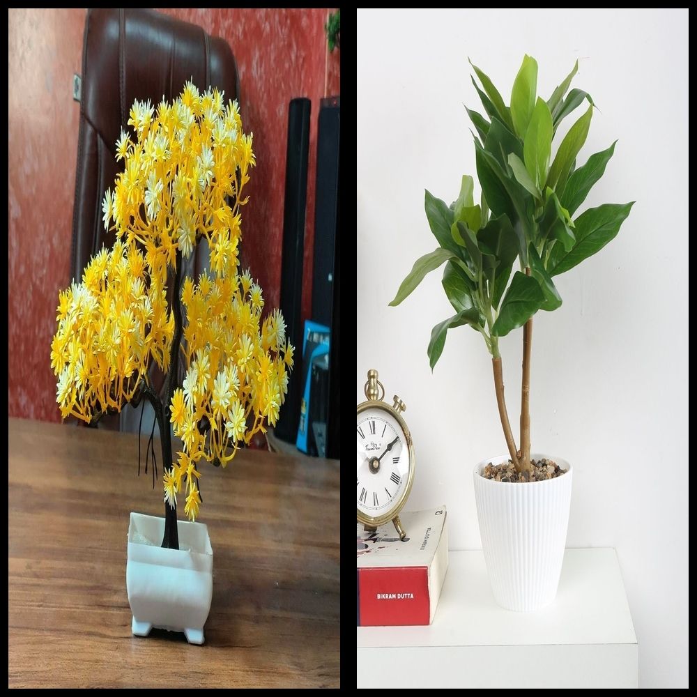 nexat Artificial Plant with Pot for Decoration of LivingRoom, Showcase or Office Table Bonsai Wild Artificial Plant with Pot-picture-36