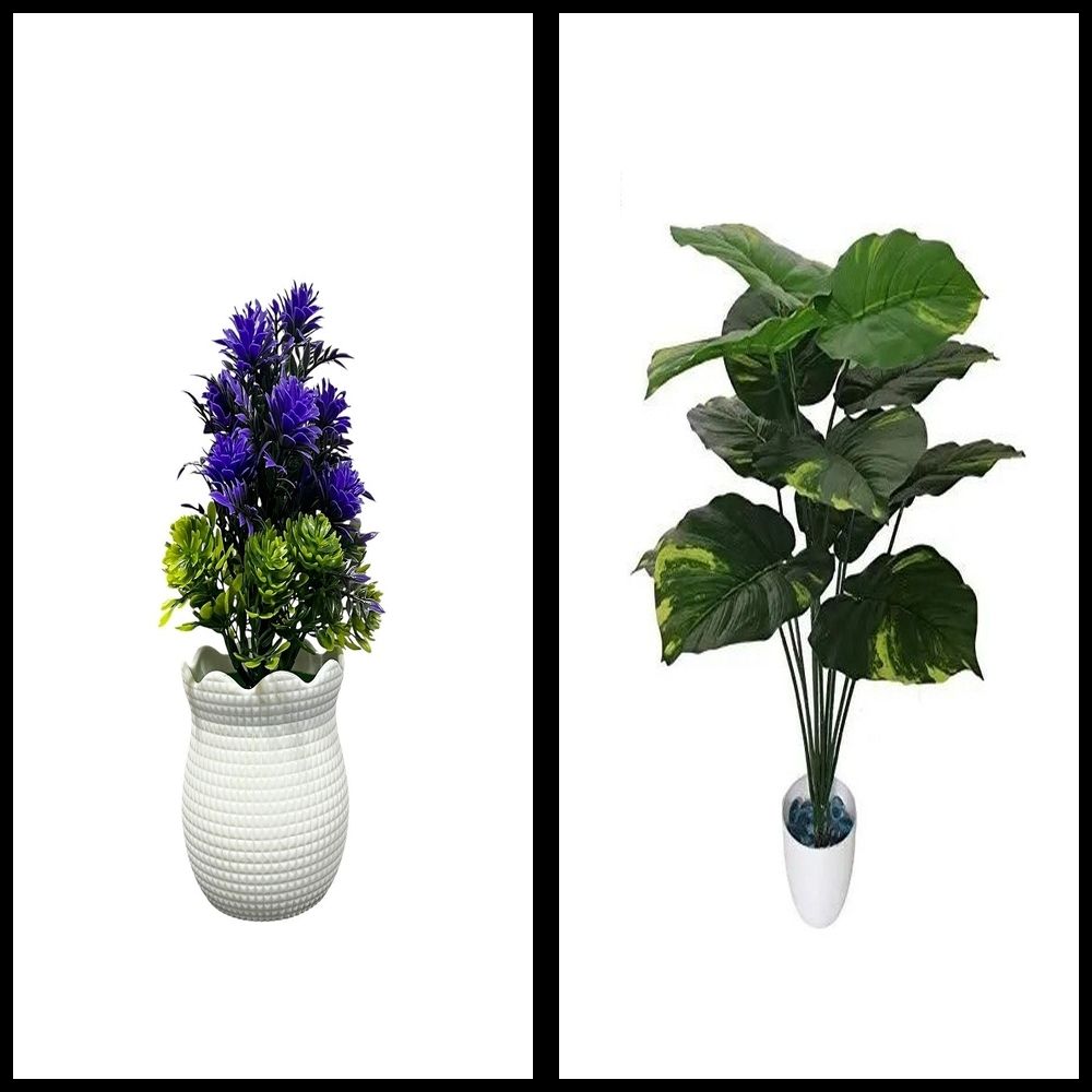 nexat Artificial Plant with Pot for Decoration of LivingRoom, Showcase or Office Table Bonsai Wild Artificial Plant with Pot-picture-2