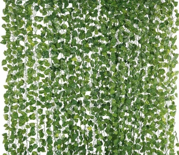 shandil Artificial Money Plant (Pack Of 02 Strings,8ft/Per string 30 leave per vine)-18 Artificial Plant image 1
