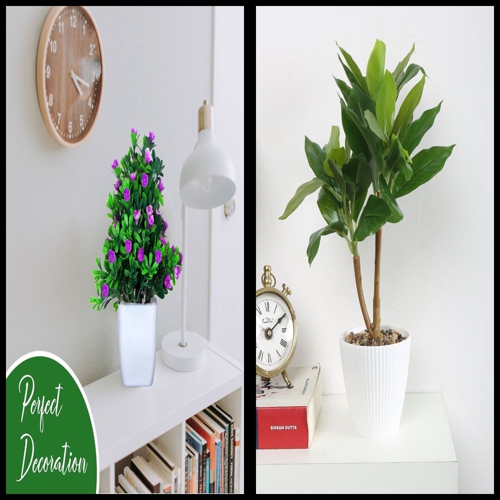 lakhaji Artificial Plant with Pot for Decoration of LivingRoom, Showcase or Office Table Bonsai Wild Artificial Plant with Pot-picture-37