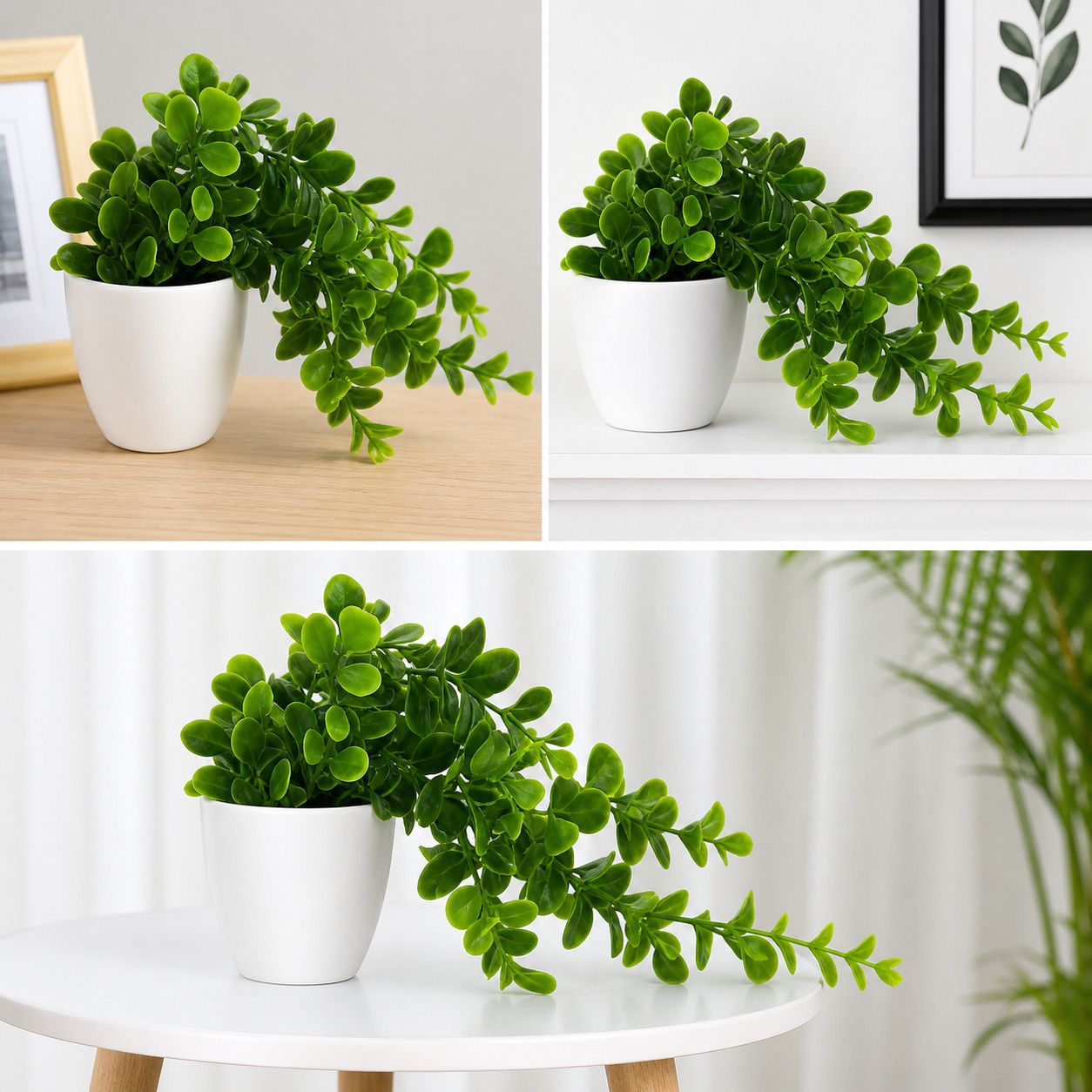 akp Pack of 3 Artificial Creeper plant Bonsai Wild Artificial Plant with Pot-picture-10