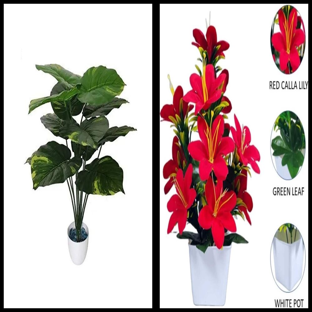 nexat Artificial Plant with Pot for Decoration of LivingRoom, Showcase or Office Table Bonsai Wild Artificial Plant with Pot-picture-12