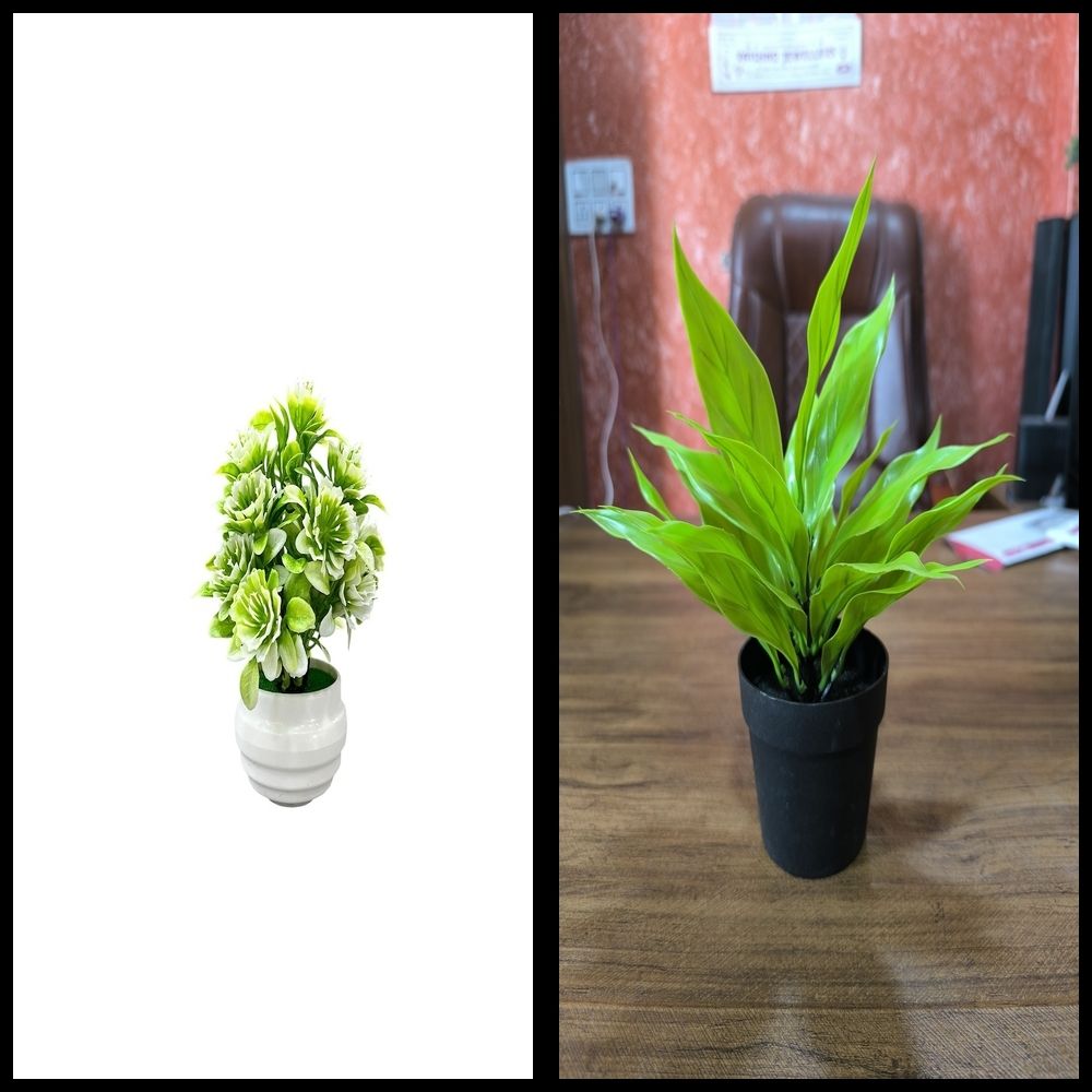 nexat Artificial Plant with Pot for Decoration of LivingRoom, Showcase or Office Table Bonsai Wild Artificial Plant with Pot-picture-17
