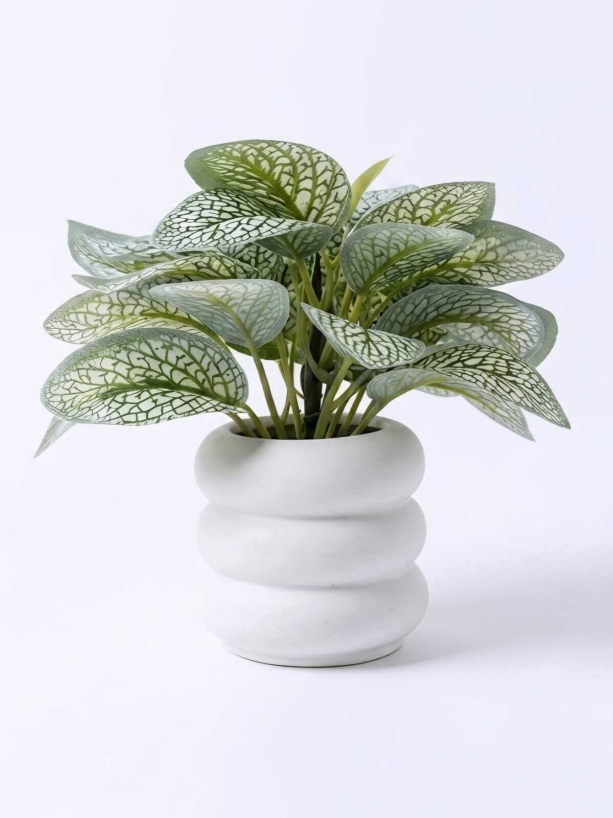 Artificial Fittonia (Nerve Plant) with Premium White Ceramic Pot Bonsai Artificial Plant with Pot-image-47