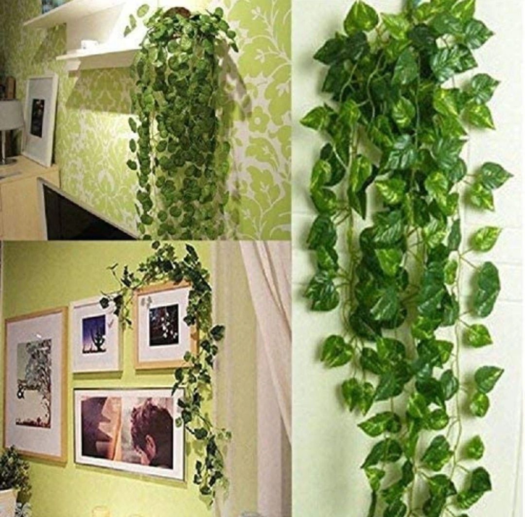 8ft Set of 2 Artificial Money Plant Vine,For|Home|Wall|Office|Garden|Decoration Artificial Plant-image-49