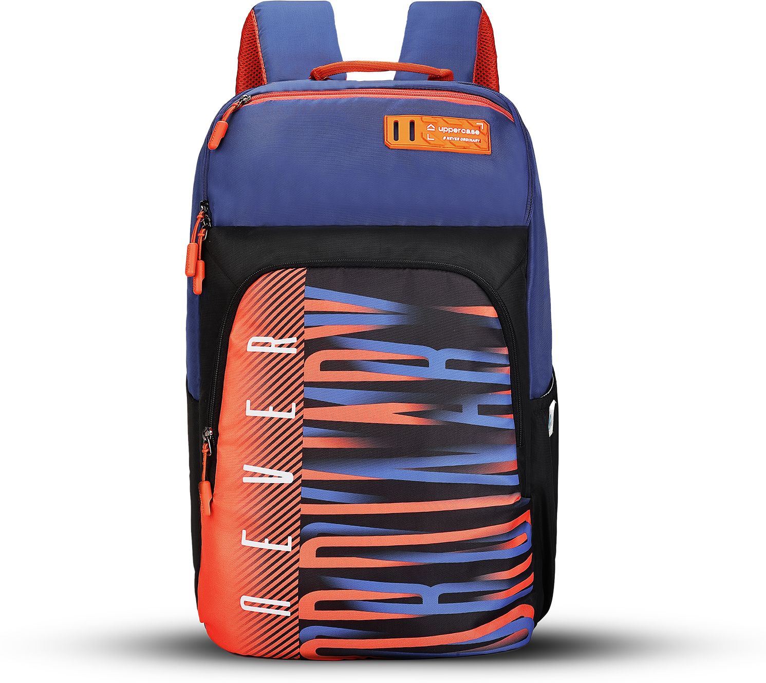 Medium 28 L Backpack Capus 2504 School Backpack 2025 Collection Double Compartment with File Sleeve-image-29