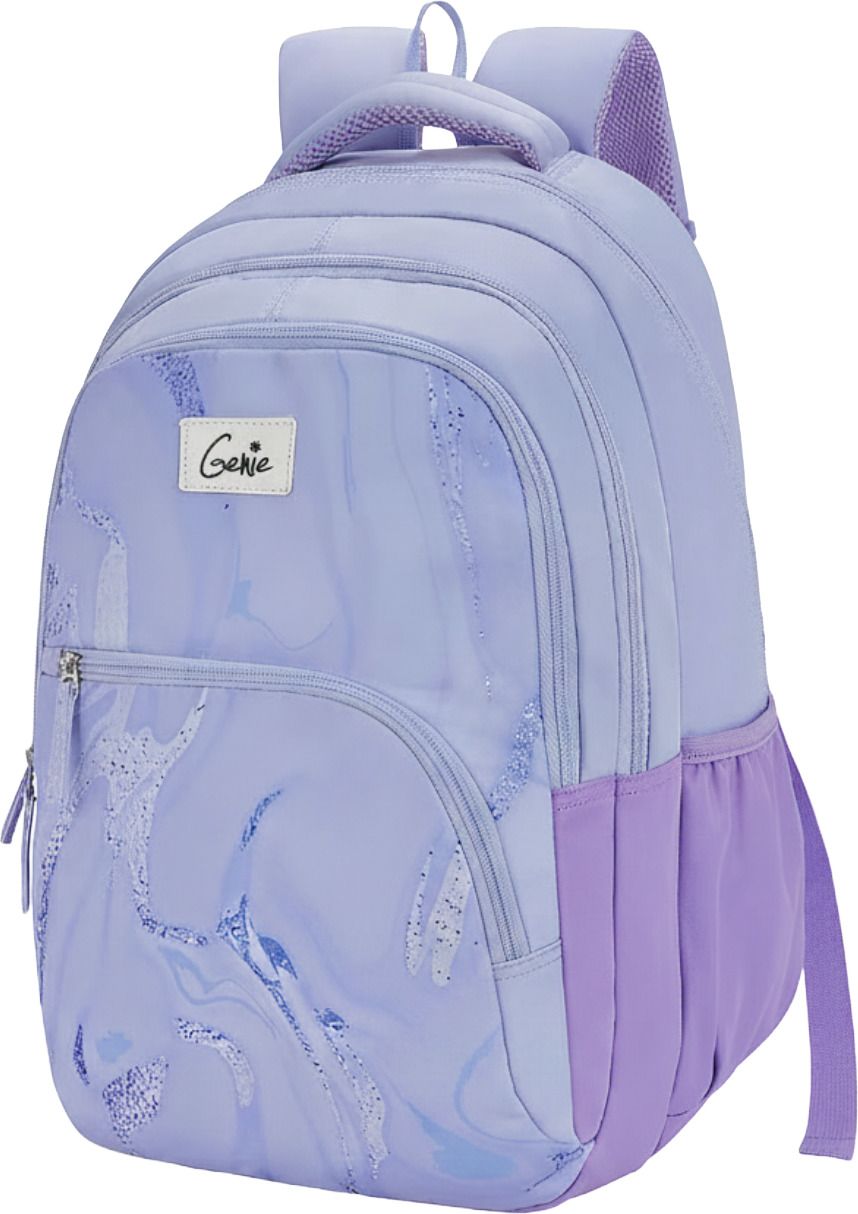 Large 36 L Laptop Backpack VALYRIA Purple School Bag 3 Compartments, 19 Inch Laptop Backpack-image-27