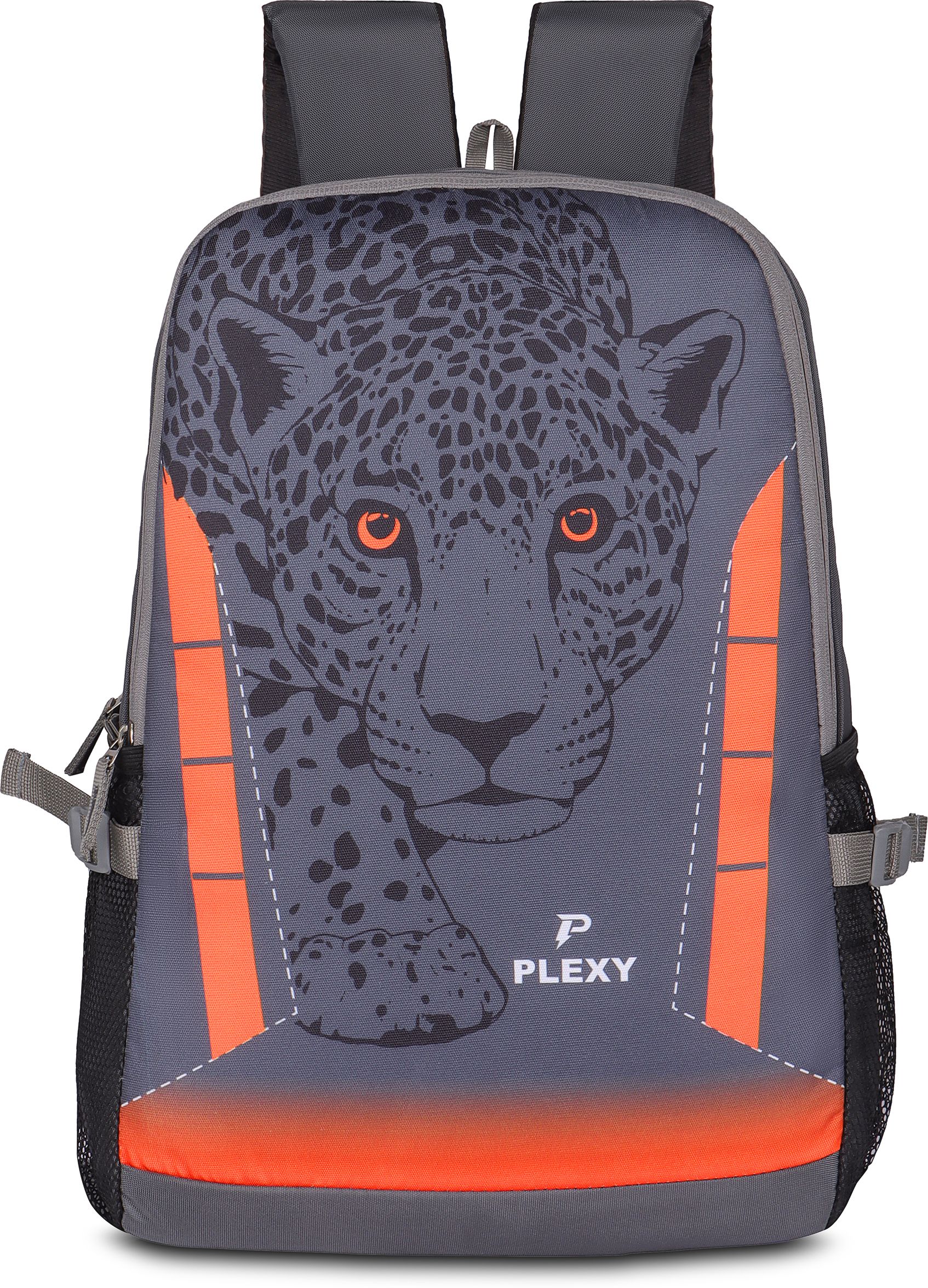 Backpack School Bag with Cheetah Animal Primary Book Bag Water Resistant Waterproof School Bag-image-39