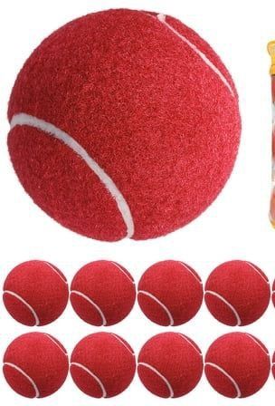 Cricket best red tennis ball Tennis Ball
