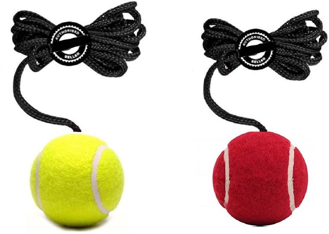 Cricket Tennis Hanging Practice ball Heavy for Indoor/Outdoor Knocking Cricket Cricket Training Ball-image-9
