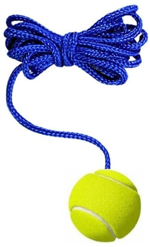 sportedge Cricket Tennis Hanging Practice ball Heavy for Indoor/Outdoor Knocking Cricket Training Ball-picture-28