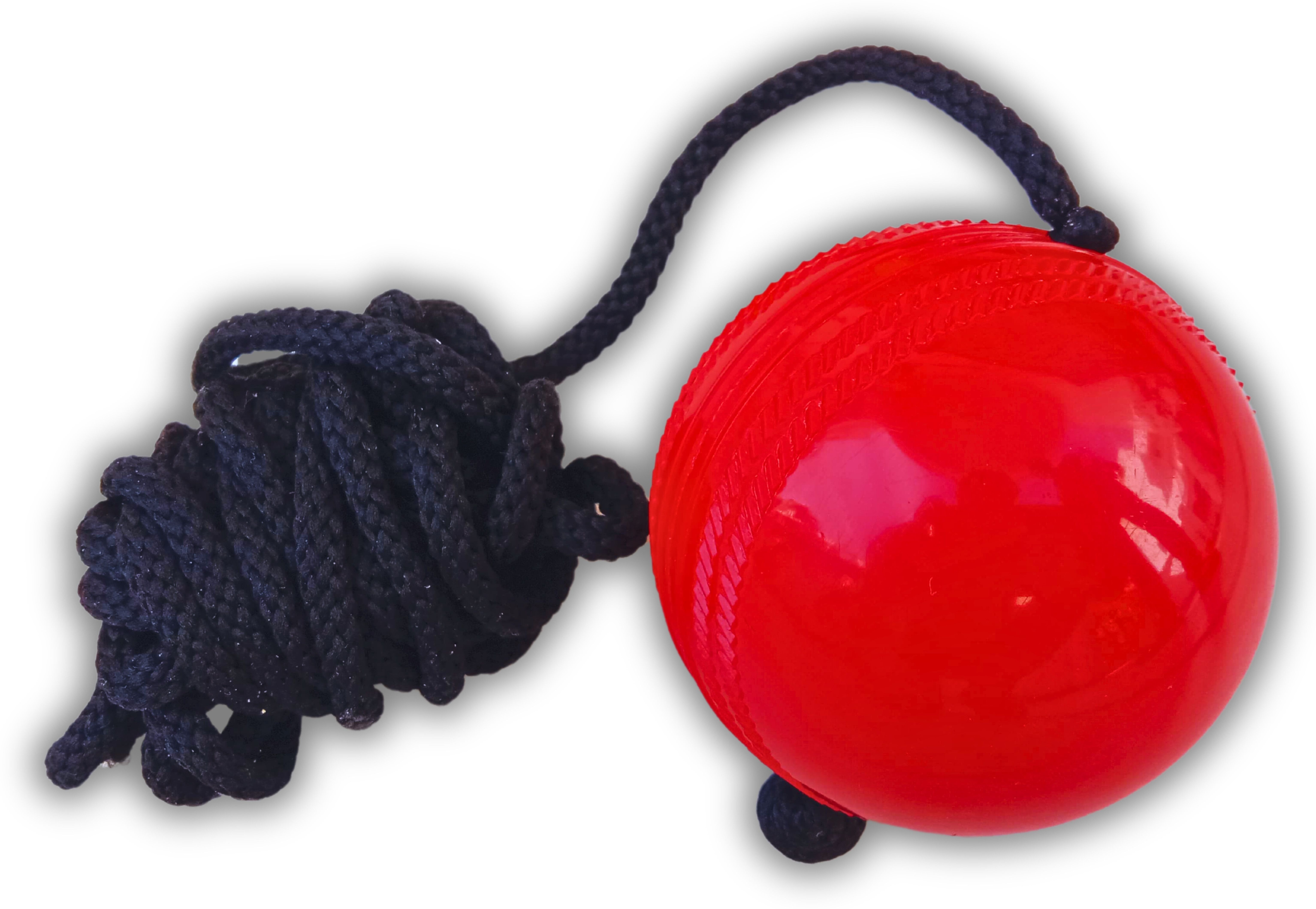vinsonsports Ball001 Cricket Training Ball-picture-22