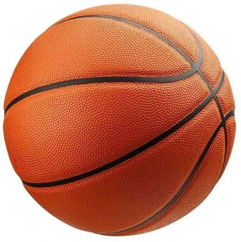 ProGrip Elite Performance Indoor Outdoor Composite Leather Basketball Basketball - Size: 7-image-33