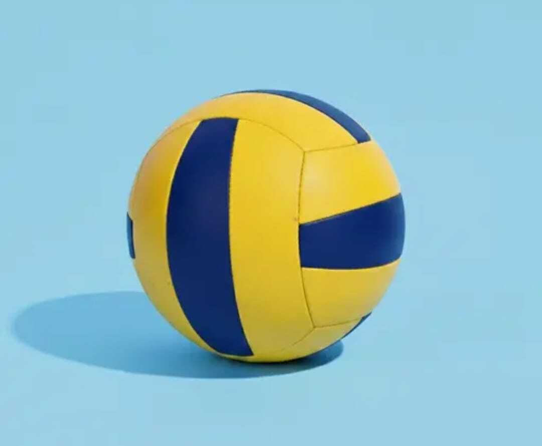 CLASSIC PLAIN Volleyball - Size: 5-image-3