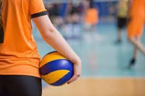 hackerx HAND STICHED VOLLEYBALL VI Volleyball - Size: 5-picture-15