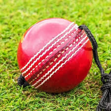 Leather Cricket Hanging ball for shot practice LI28 Cricket Training Ball-image-12