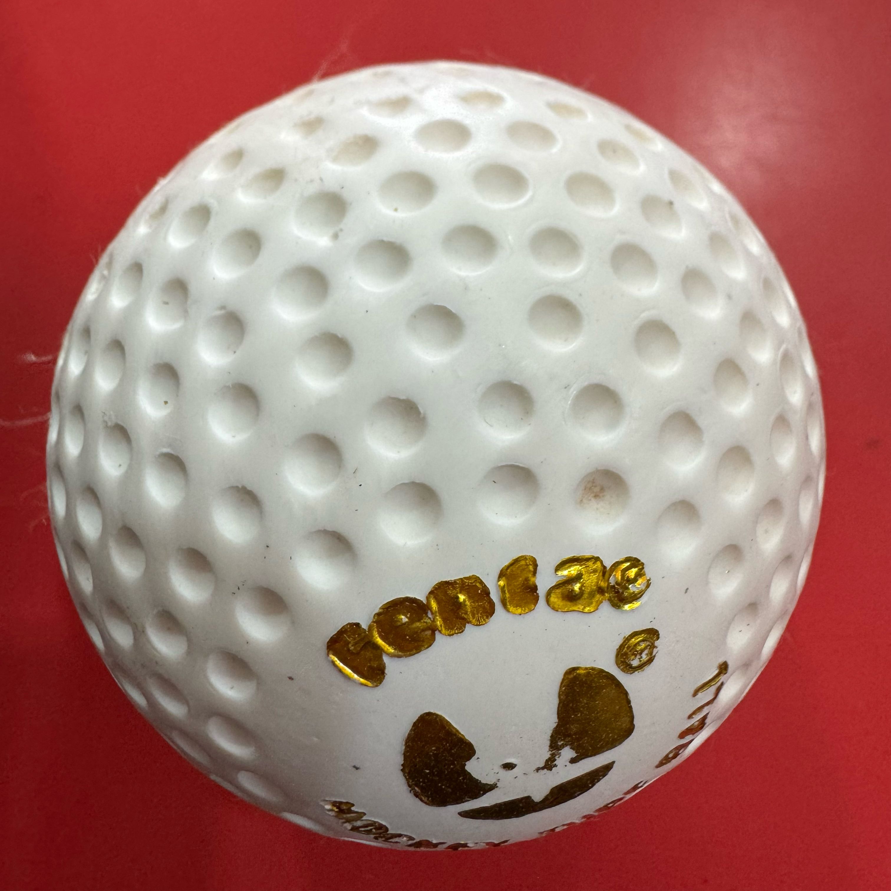 Fenta Field Hockey Ball Hockey Ball