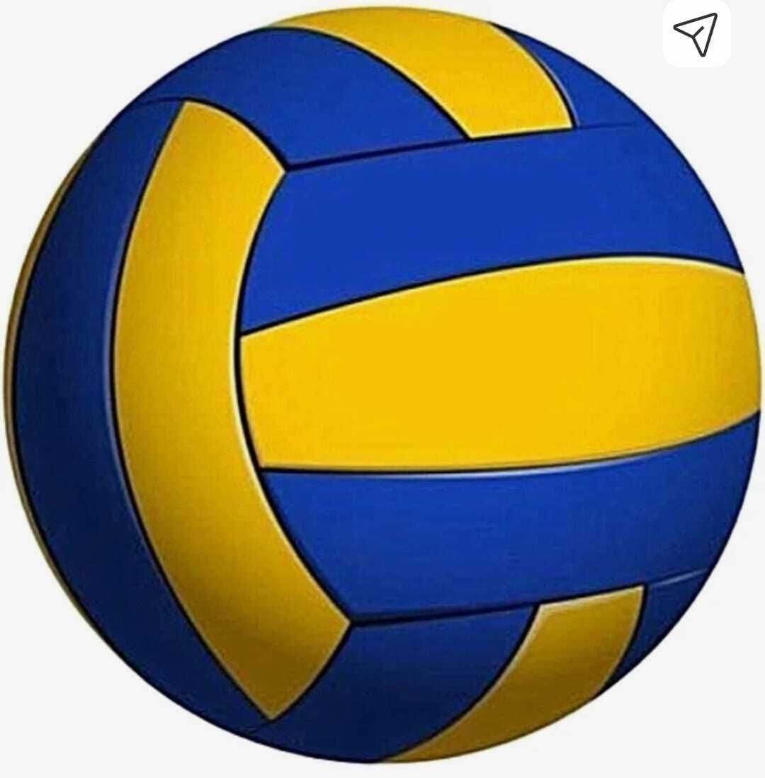 vsm Premium quality official PVC Volleyball Size-4 with 1 Air Pump Volleyball - Size: 4-picture-19