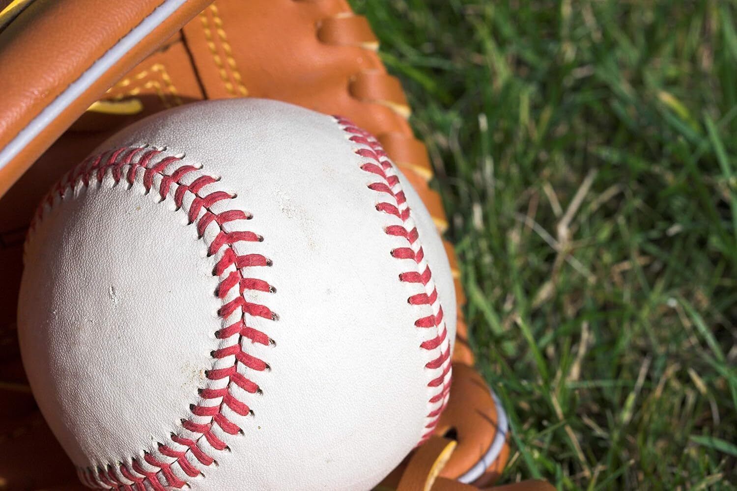 Morex PVC Meteor Baseball, 9-Inch, Durable Cover, Training & Match Ball Baseball-image-1