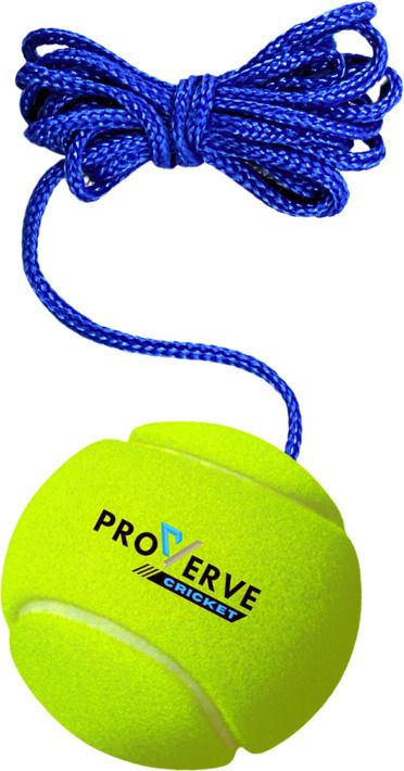 Cricket Tennis Hanging Practice ball Heavy for Indoor/Outdoor Knocking Cricket Training Ball-image-30