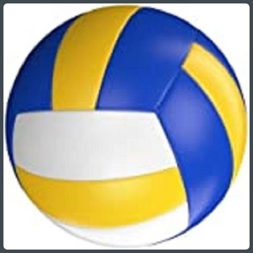dibaco sports Ball @169 Volleyball - Size: 4-picture-27