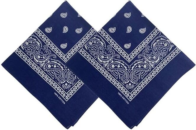 gajju's Men, Boys Printed Bandana-picture-17