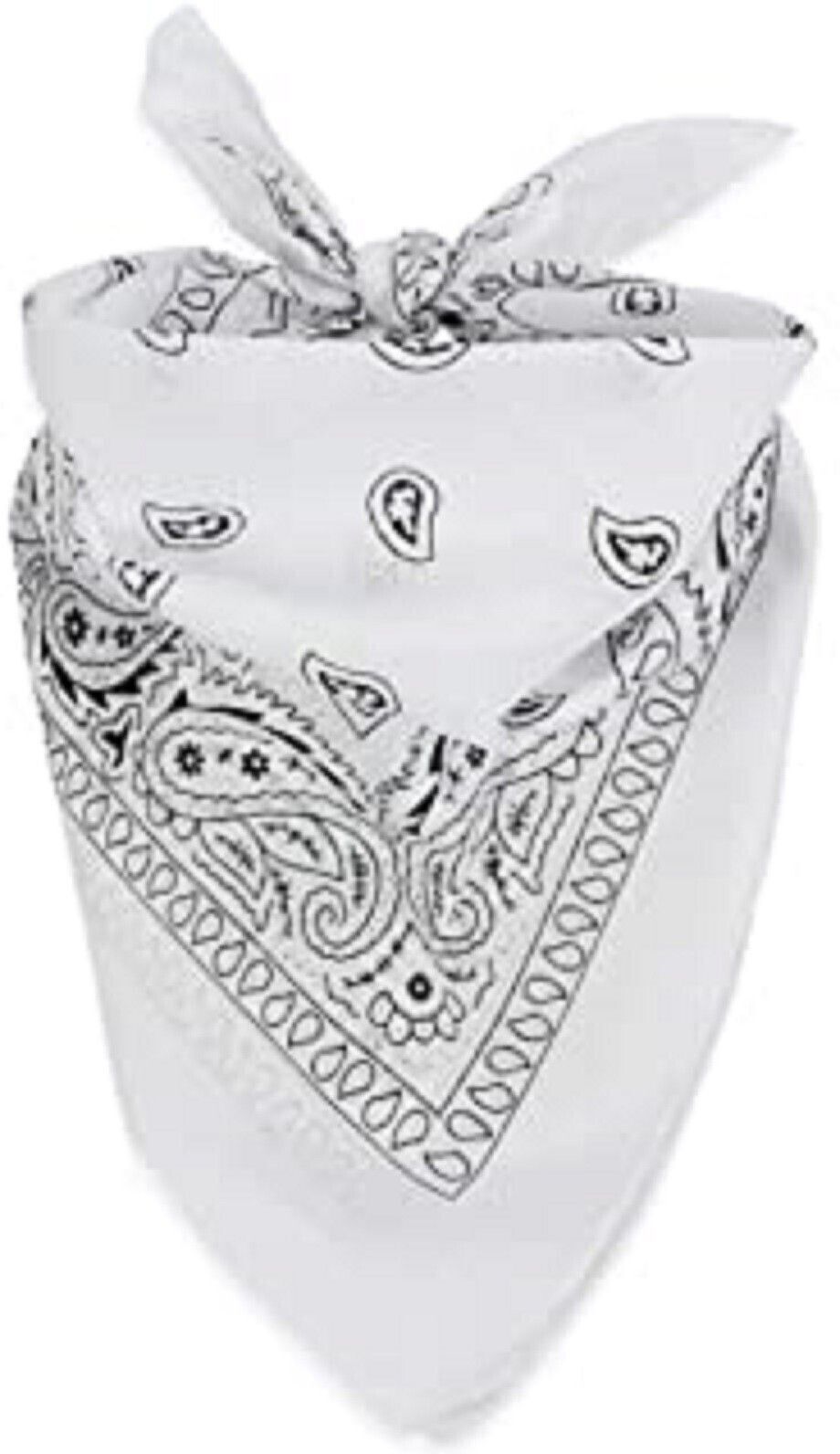 vastraverse Men Printed Bandana-picture-48