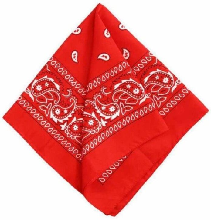 gurbxx Men, Men & Women, Women, Boys & Girls Printed Bandana-picture-27