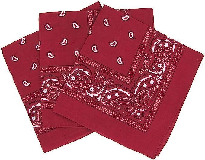 vastraverse Men Printed Bandana-picture-2