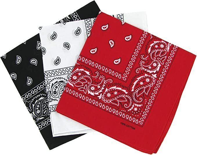 vastraverse Men Printed Bandana-picture-13