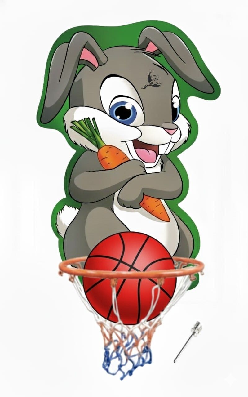 Rabbit Kids Basketball ring set Indoor Outdoor Basket Ball hoop Basketboard Basketball Ring-image-39