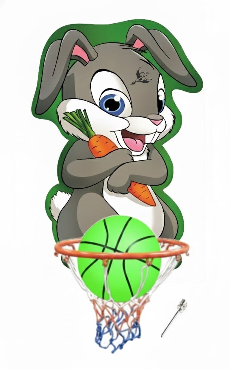 Rabbit Kids Basketball ring set Indoor Outdoor Basket Ball hoop Basketboard Basketball Ring-image-38