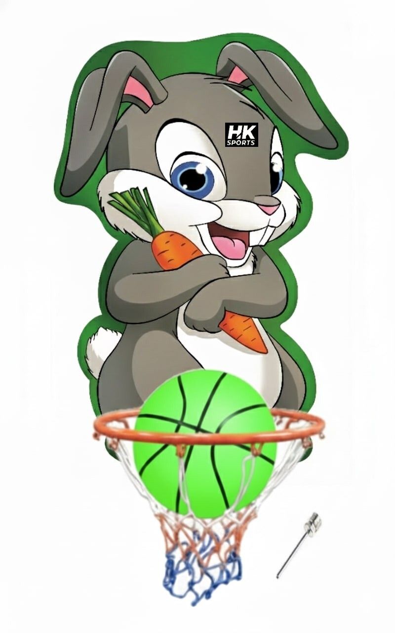 Rabbit Kids Basketball ring set Indoor Outdoor Basket Ball hoop Basketboard Basketball Ring-image-37