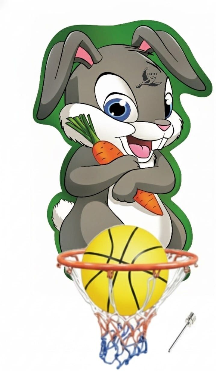 Rabbit Kids Basketball ring set Indoor Outdoor Basket Ball hoop Basketboard Basketball Ring-image-36