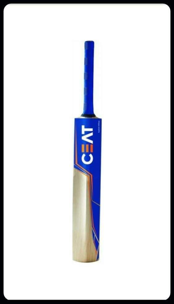 vedance sports Cricket Bat for sports-A251 Kashmir Willow Cricket Bat For 15+ Yrs-picture-43
