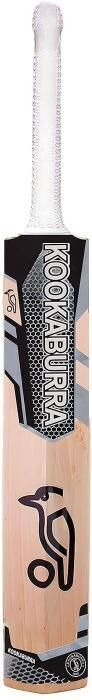vedance sports Cricket Bat for sports-A507 Kashmir Willow Cricket Bat For 15+ Yrs-picture-29