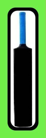 fssports PREMIUM PLASTIC BAT FOR KIDS-95 PVC/Plastic Cricket Bat For 15+ Yrs-picture-44