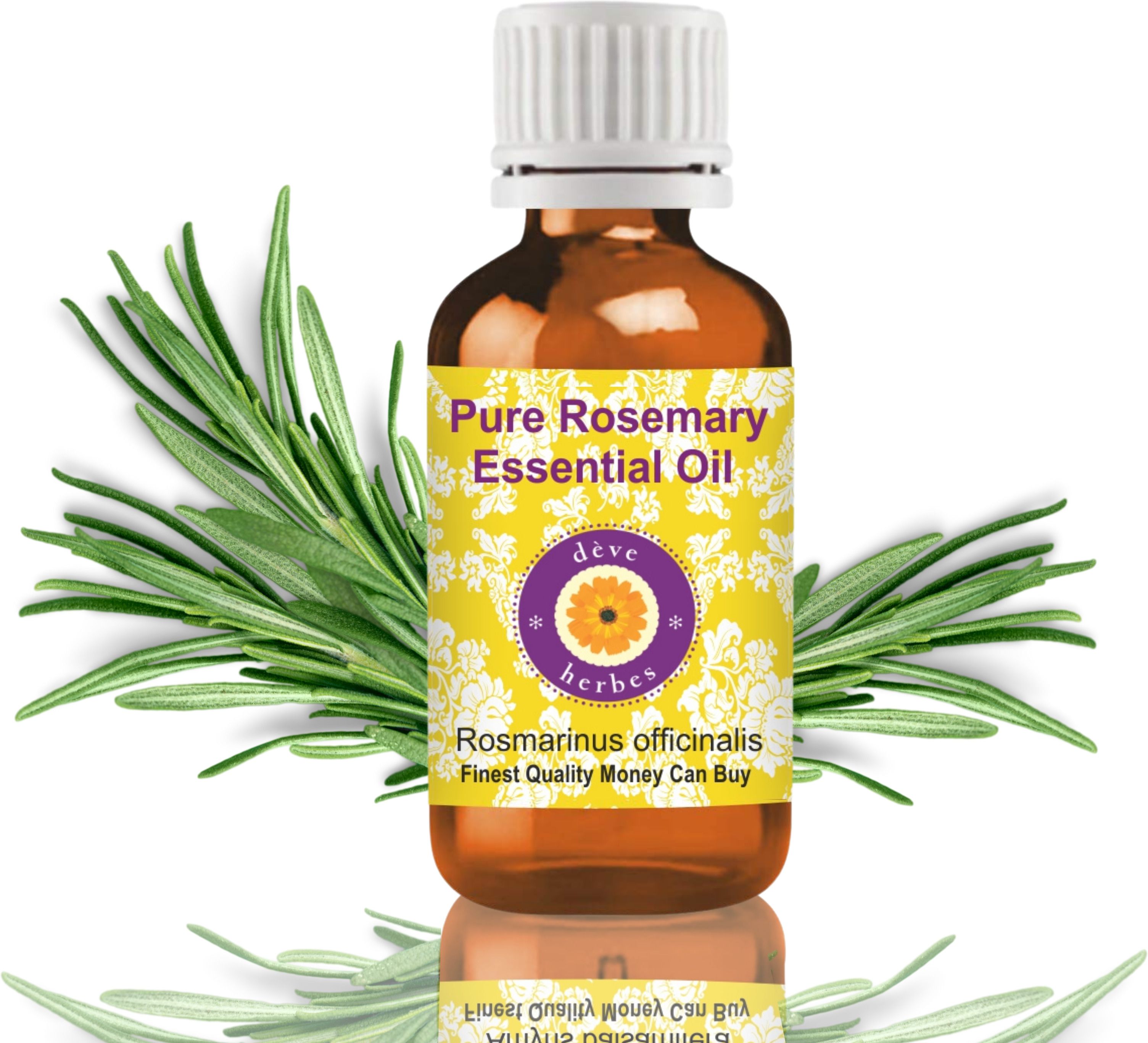 deve herbes Pure Rosemary Essential Oil 30ml- Rosmarinus Officinalis-picture-5
