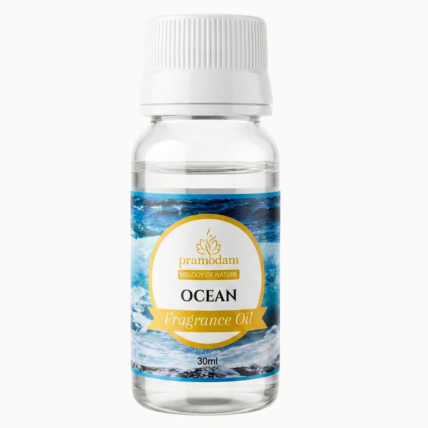 Ocean Aroma Oil Ocean Fragrance Oil | Premium Aquatic Aroma Oil for Diffusers Home Fragrance DIY-image-1