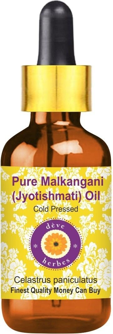 deve herbes Pure Malkangani (Malkangni / Jyotishmati) Oil (Celastrus paniculatus) with Glass Dropper 100% Natural Therapeutic Grade Cold Pressed-picture-41