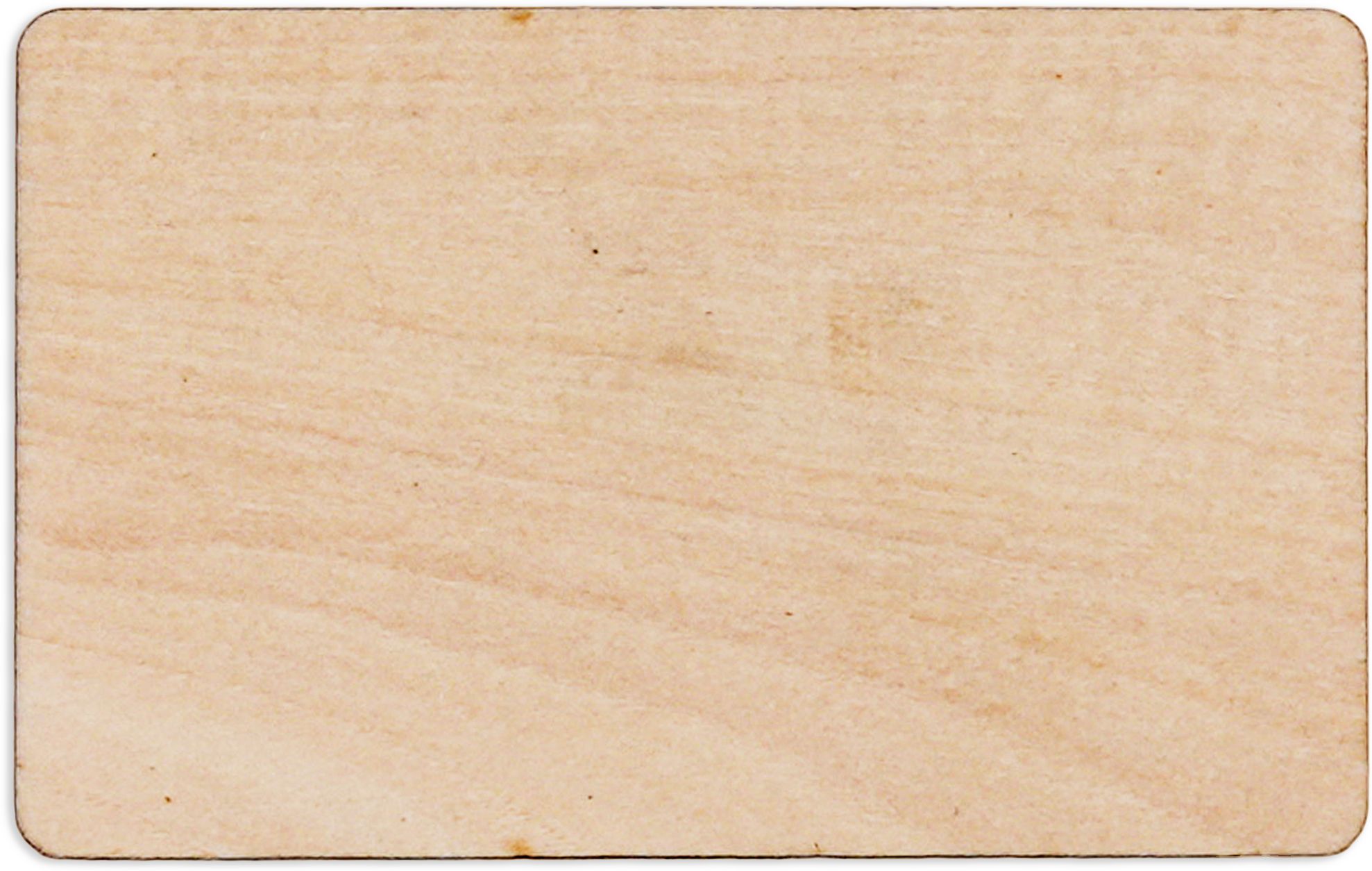 rapidradio NEW-RRHFSM15-BASSWOOD Access Control-picture-24