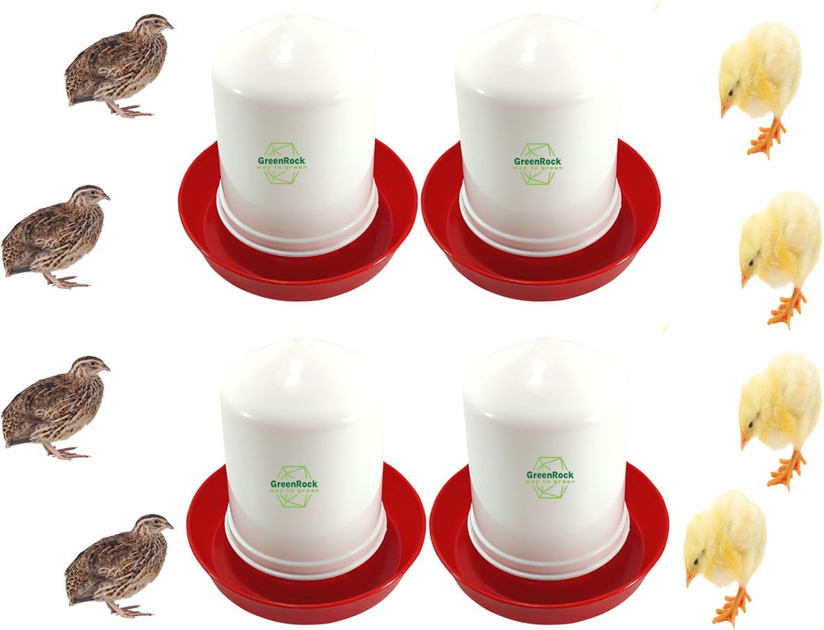 greenrock Chick & Quail Food Feeder & Drinker Combo 500 grams capacity (Pack Of 4) Common Bird Feeder-picture-27