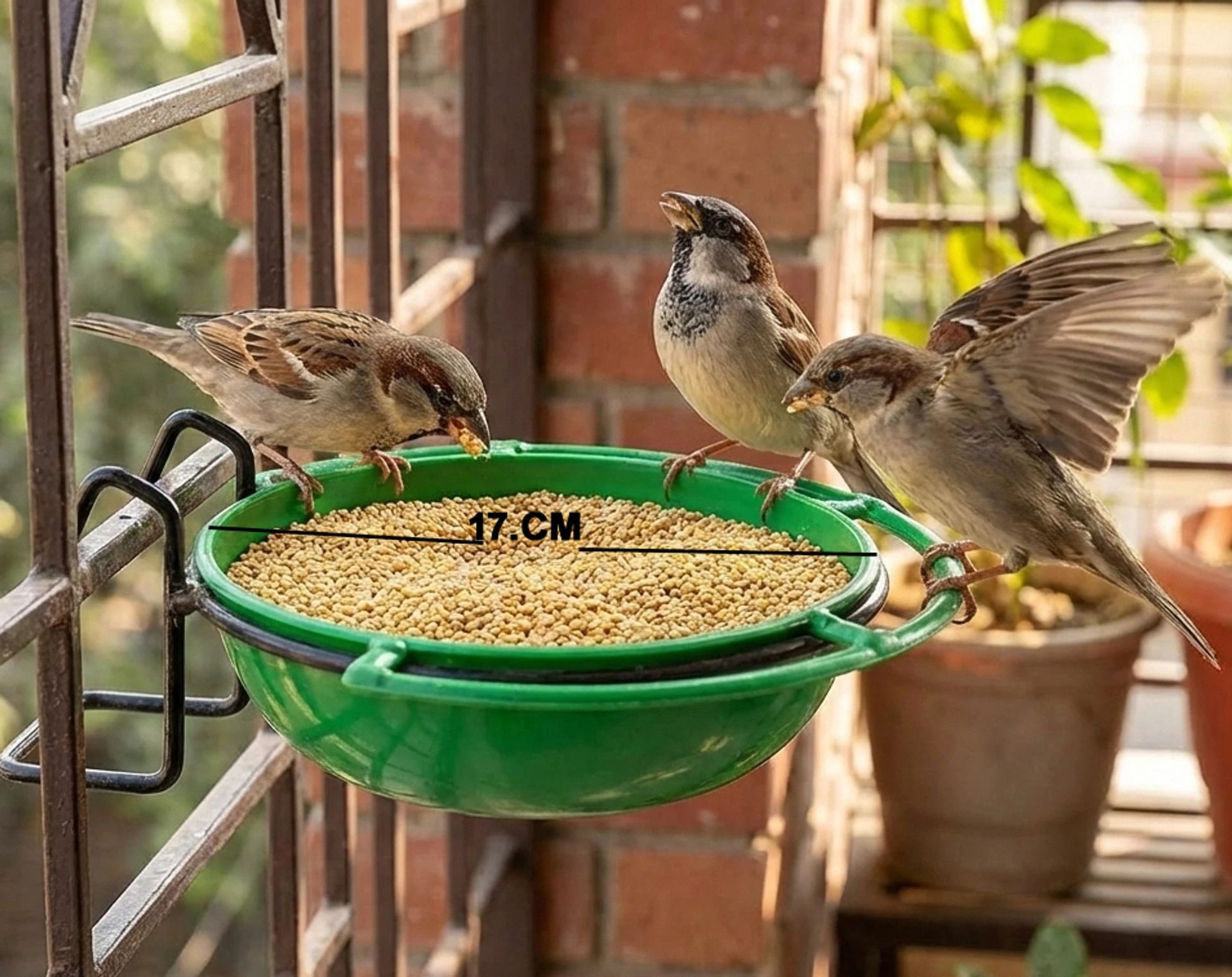amijivdaya Big Bowl With Stand. Window Bird Feeder-picture-20