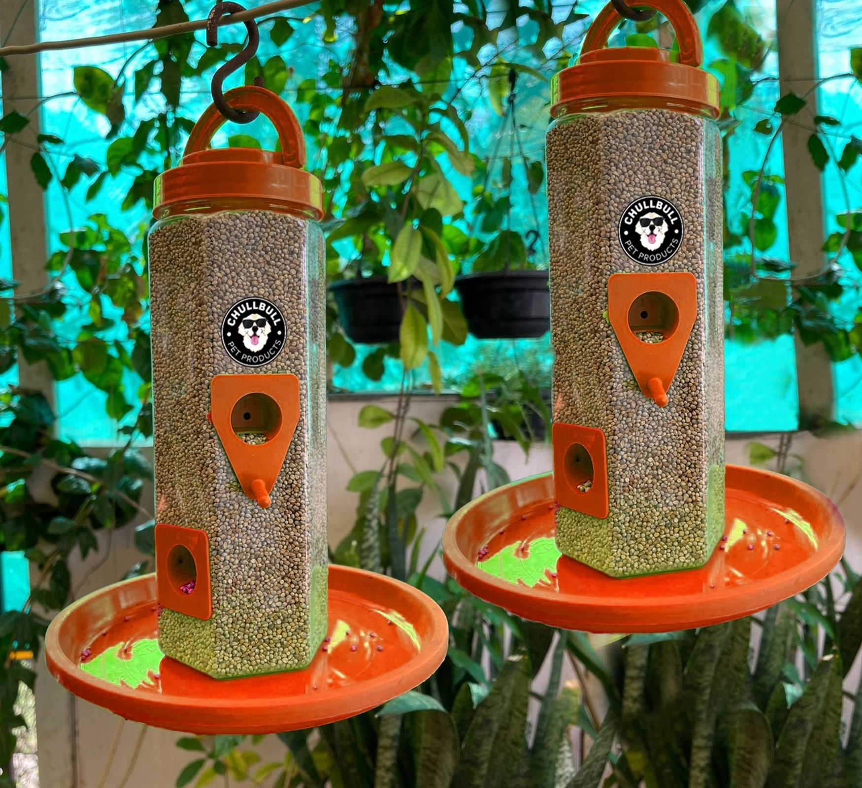 chullbull pet products Medium Food Feeder for birds Window Bird Feeder Bird Feeder-picture-20